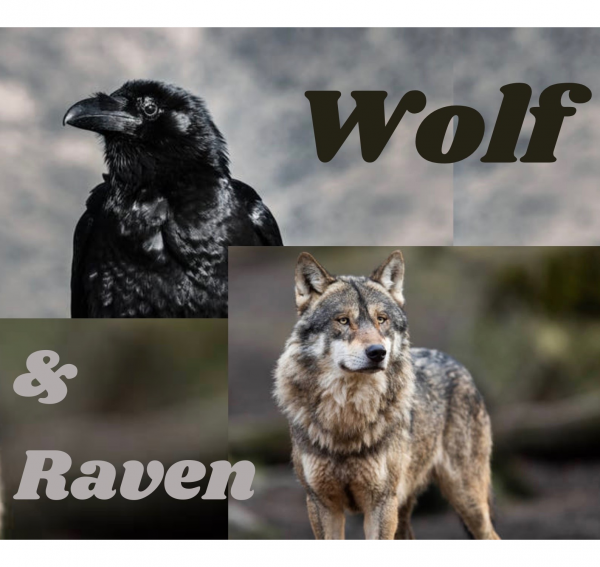 Wolf and Raven